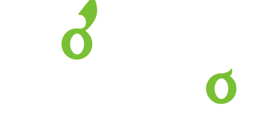 logo-nomadas-del-pirineo-540-2 logo nomadas del pirineo 540 2